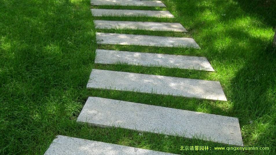 南苑機(jī)場(chǎng)