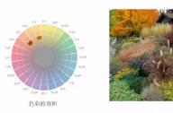 花鏡設計的方法之色彩構成