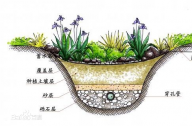 什么是雨水花園？雨水花園和普通花園有什么區(qū)別？